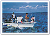 tortugero parismina fishing fishing rio parismina, fishing rio colorado, tarpon in costa rica, snook in costa rica