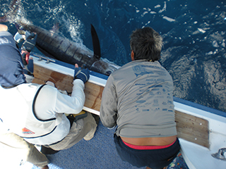 galapagos sport fishing