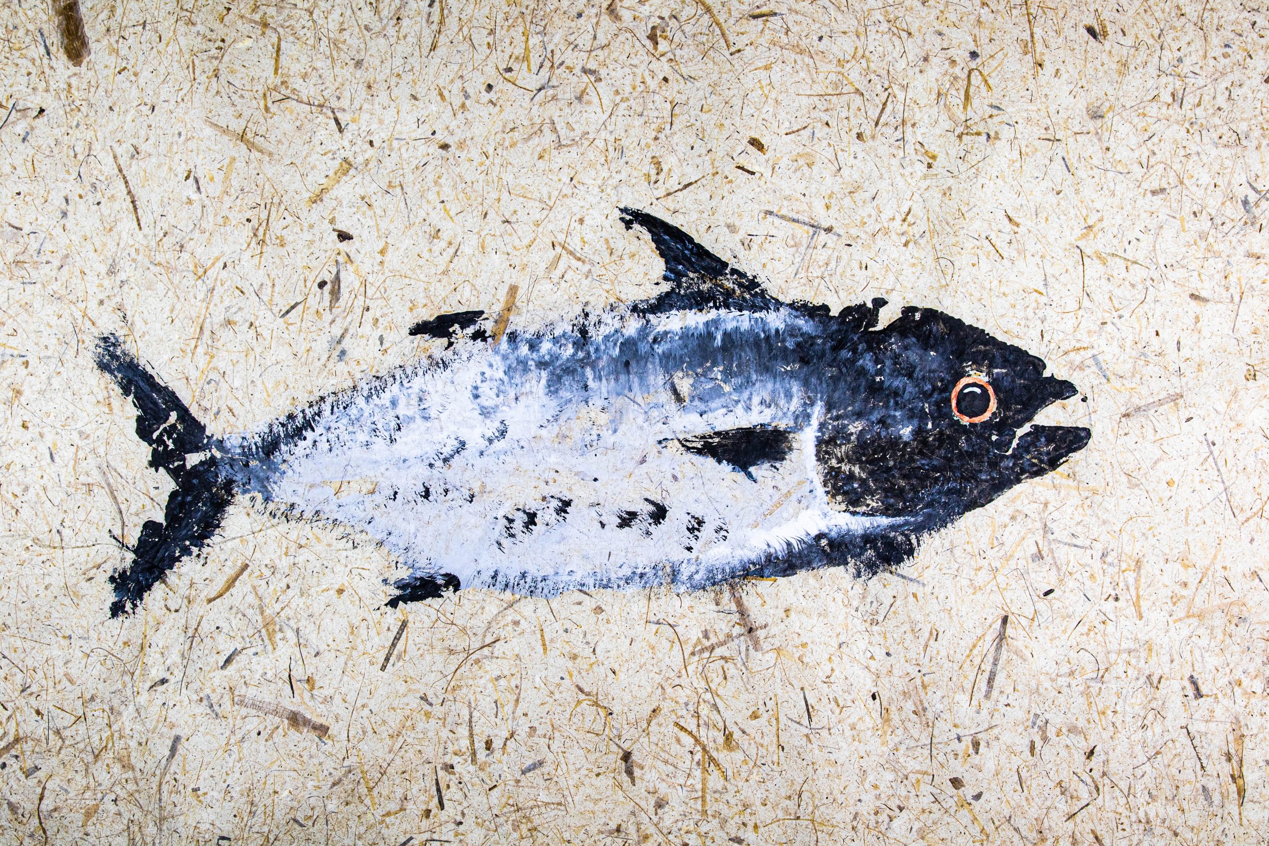 gyotaku saltwater fish prints on japanese paper