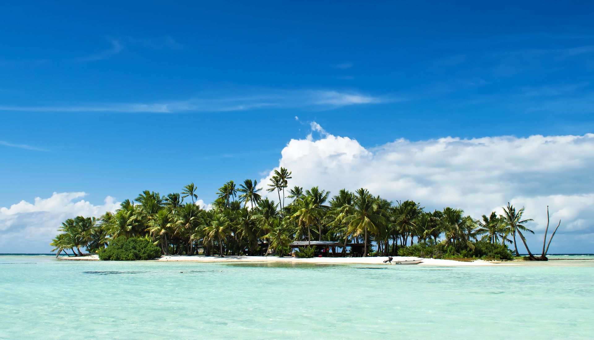 tahiti fishing vacation