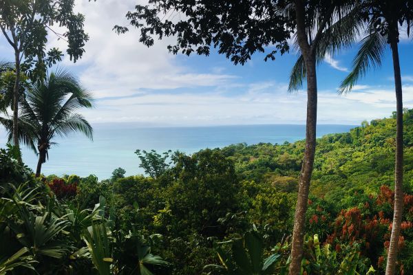 sportfishing destination golfito costa rica