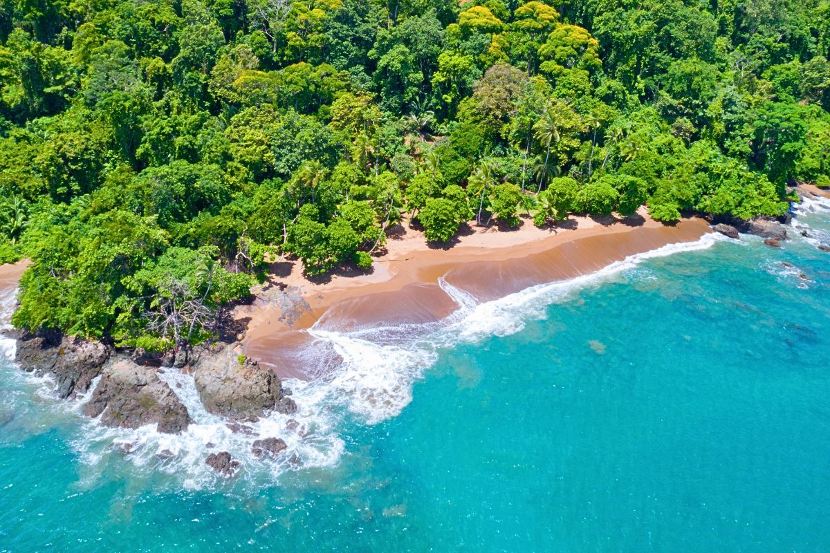 fishing in beautiful costa rica on the pacific