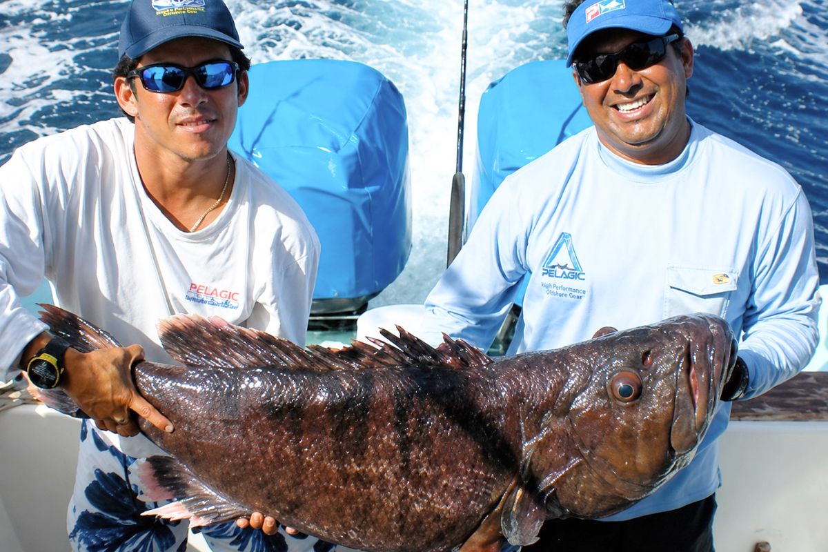 catching a grouper in panama with captain warren sellers