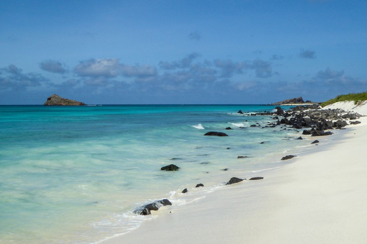 empty beach galapagos islands sportfishing destination