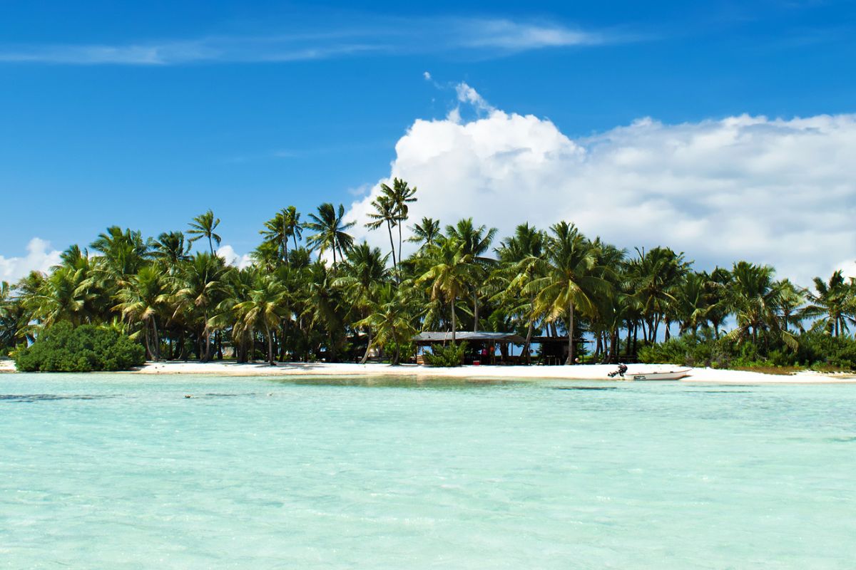 spectacular sportfishing in tahiti french polynesia