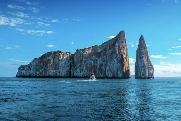 sportfishing destination galapagos islands