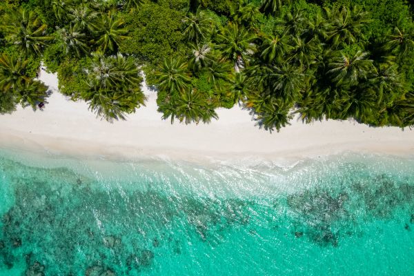 sportfishing destination tahiti french polynesia